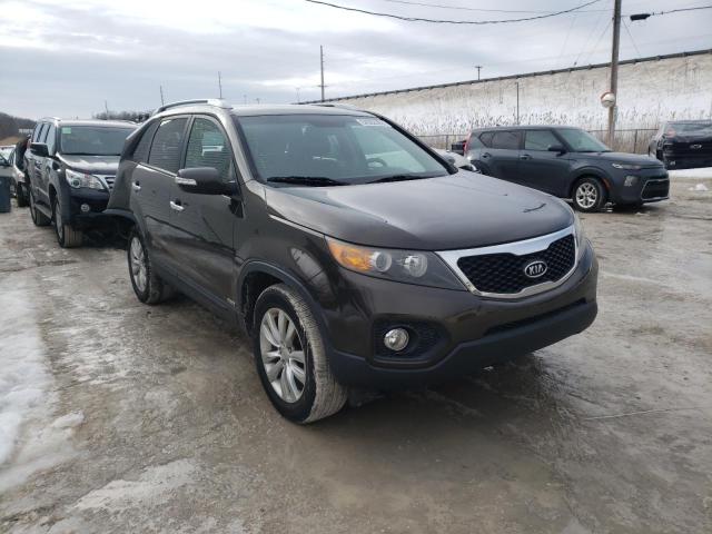 KIA SORENTO EX 2011 5xykuda28bg155431