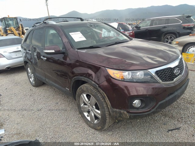 KIA NULL 2013 5xykuda28dg387269