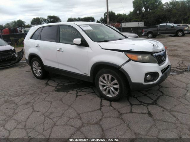 KIA SORENTO 2011 5xykuda29bg003173