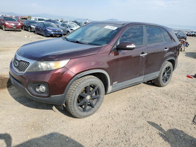 KIA SORENTO EX 2011 5xykuda29bg031104