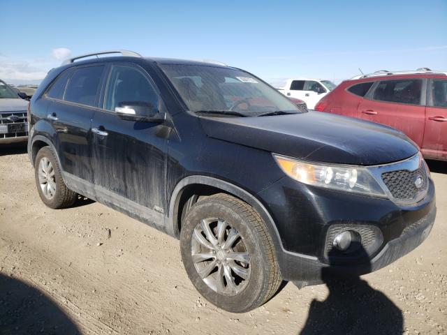 KIA SORENTO EX 2011 5xykuda29bg039574