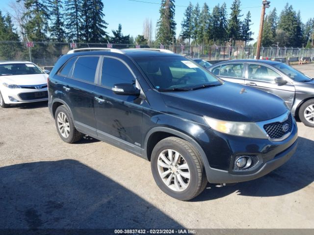 KIA SORENTO 2011 5xykuda29bg054124