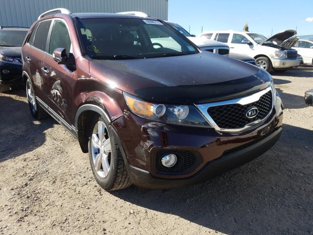 KIA SORENTO EX 2012 5xykuda29cg288216