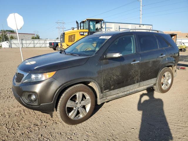 KIA SORENTO EX 2013 5xykuda29dg330045