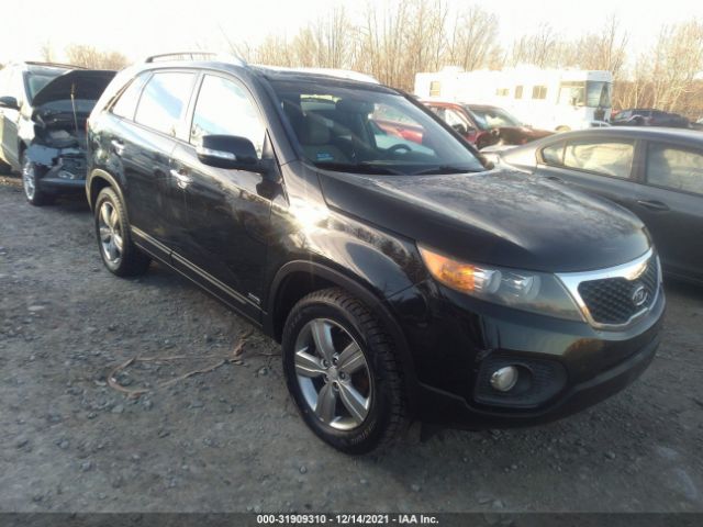 KIA SORENTO 2013 5xykuda29dg362946