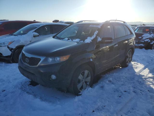 KIA SORENTO EX 2013 5xykuda29dg411451