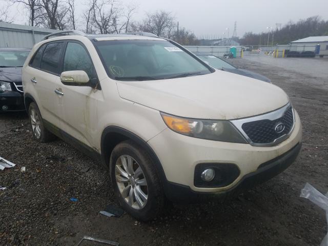 KIA SORENTO EX 2011 5xykuda2xbg009967