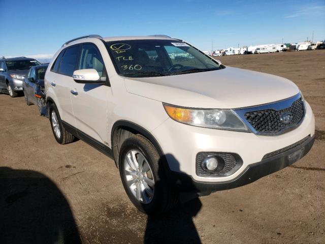 KIA SORENTO EX 2011 5xykuda2xbg042547