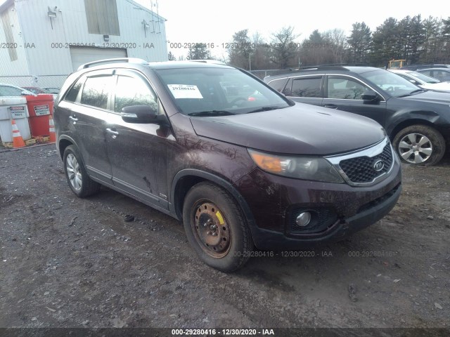 KIA SORENTO 2011 5xykuda2xbg087052