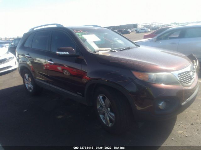 KIA SORENTO 2013 5xykuda2xdg319572