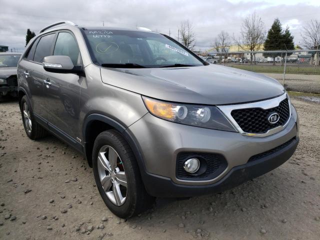 KIA SORENTO EX 2013 5xykuda2xdg386088