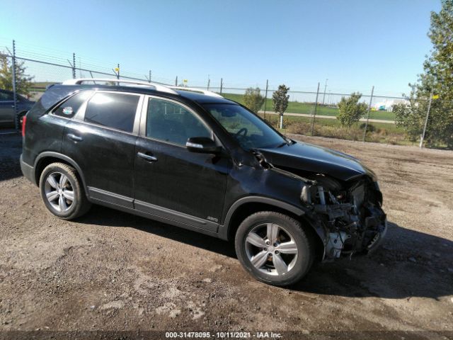 KIA SORENTO 2013 5xykuda2xdg390884