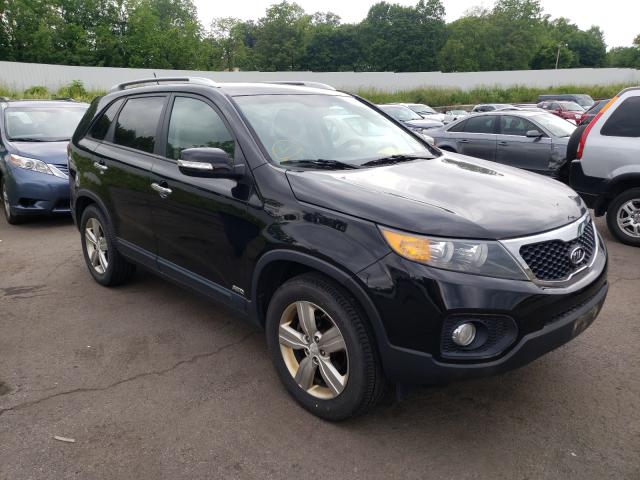 KIA SORENTO EX 2013 5xykuda61dg379842