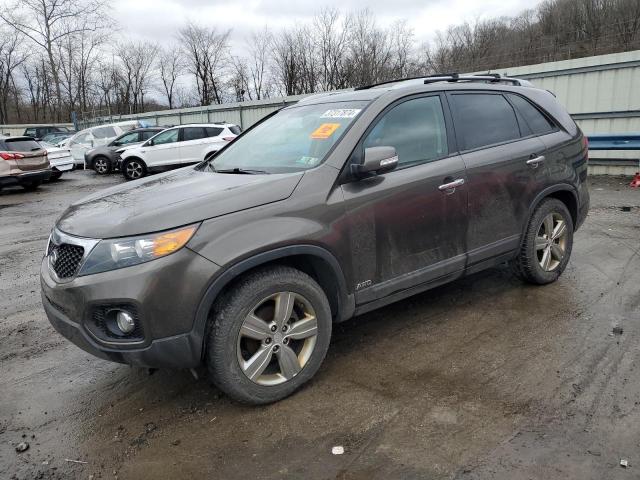 KIA SORENTO 2013 5xykuda67dg340284