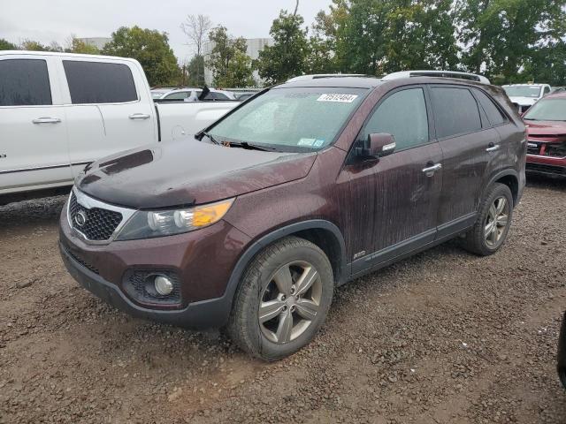 KIA SORENTO EX 2013 5xykuda69dg393861