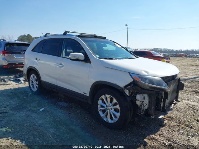 KIA SORENTO 2014 5xykuda77eg498036