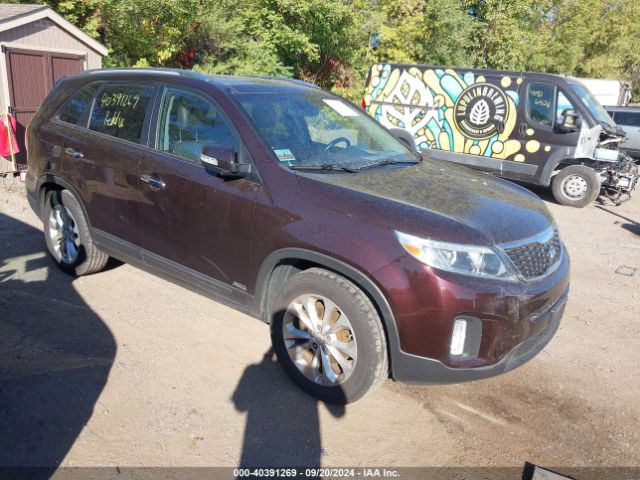 KIA SORENTO 2015 5xykuda78fg565664