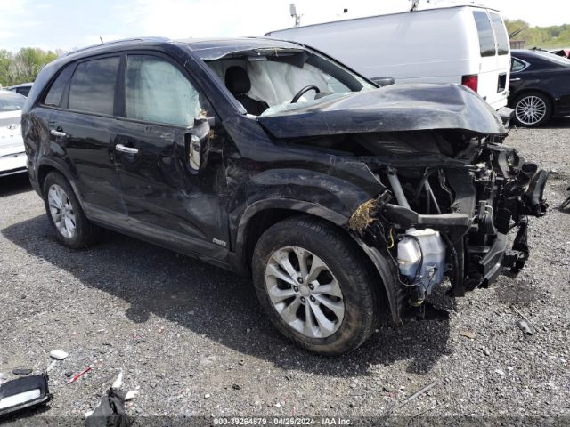 KIA SORENTO 2014 5xykuda79eg468715