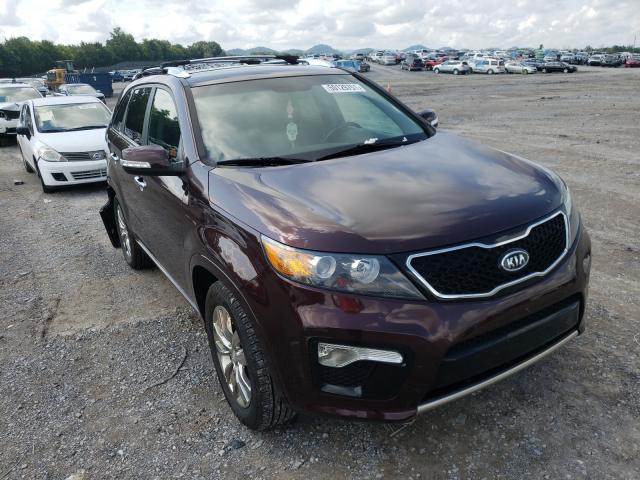 KIA SORENTO SX 2012 5xykw4a28cg295801