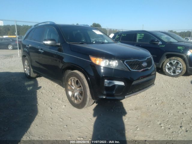 KIA SORENTO 2011 5xykw4a29bg159305