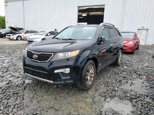 KIA SORENTO 2011 5xykwda20bg121929