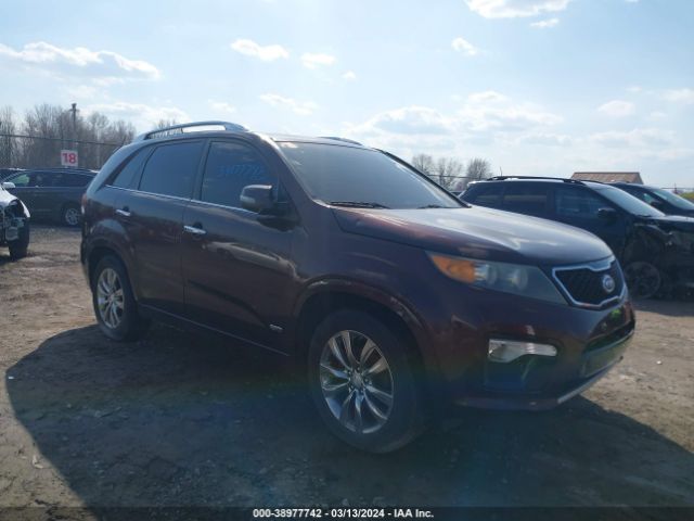 KIA SORENTO 2012 5xykwda20cg228724