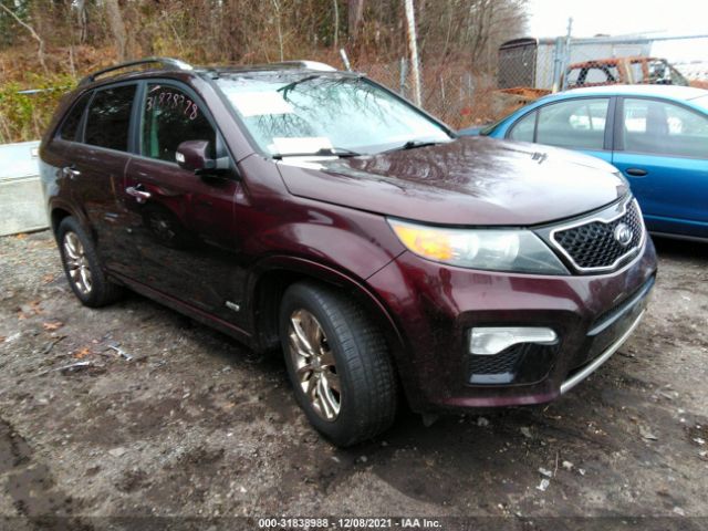 KIA SORENTO 2011 5xykwda21bg099990