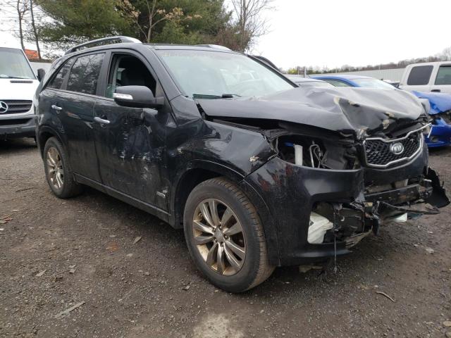 KIA SORENTO 2011 5xykwda21bg121227