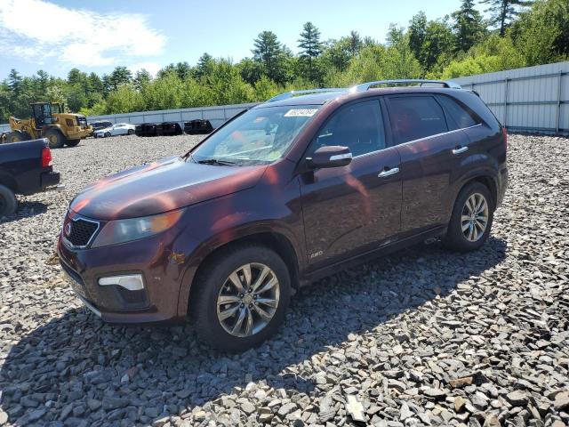 KIA SORENTO SX 2011 5xykwda21bg177748