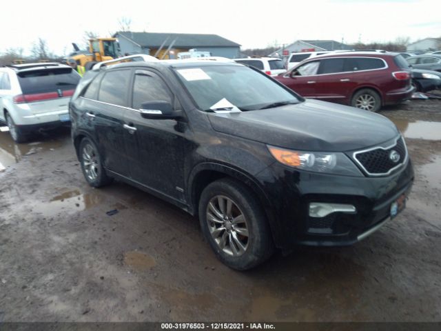 KIA SORENTO 2012 5xykwda21cg248321