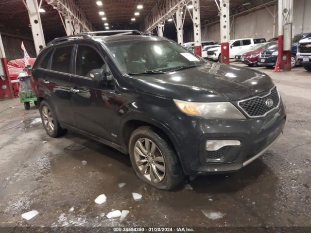 KIA SORENTO 2011 5xykwda23bg137123