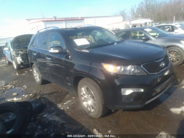 KIA SORENTO 2012 5xykwda24cg196814