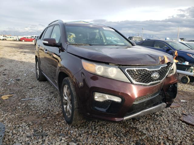 KIA SORENTO SX 2011 5xykwda25bg108223