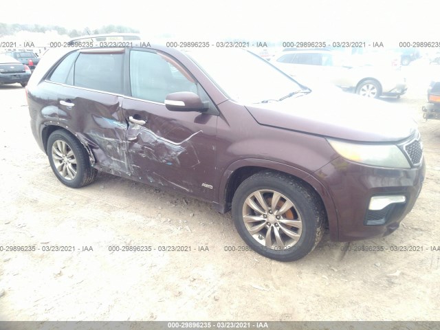 KIA SORENTO 2011 5xykwda25bg162735