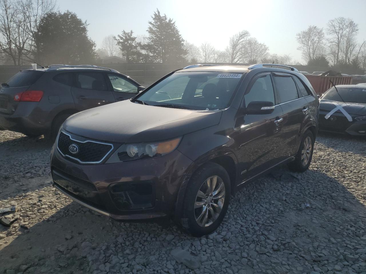 KIA SORENTO 2011 5xykwda26bg097765