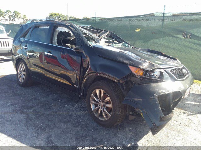 KIA SORENTO 2011 5xykwda29bg161782