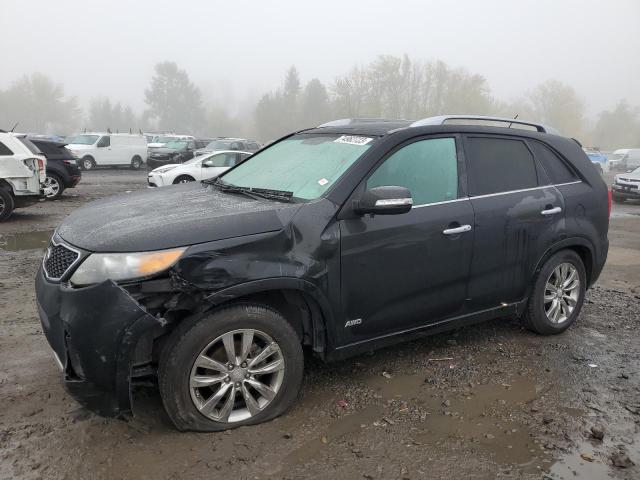 KIA SORENTO 2013 5xykwda29dg329147