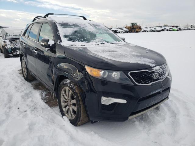 KIA SORENTO SX 2013 5xykwda29dg330508