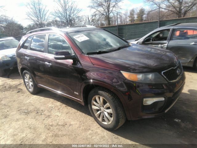 KIA SORENTO 2012 5xykwda2xcg195294