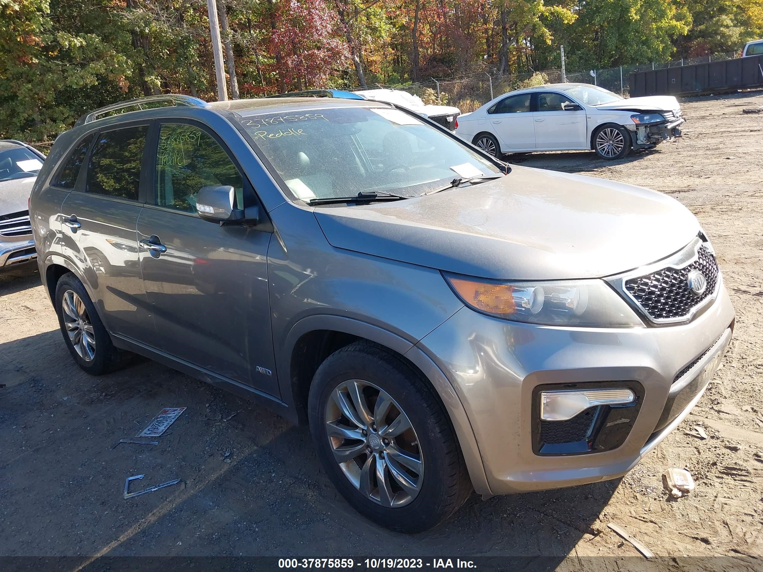 KIA SORENTO 2013 5xykwda2xdg345762