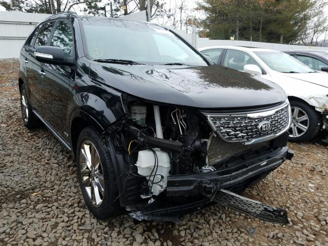 KIA NULL 2015 5xykwda79fg573833