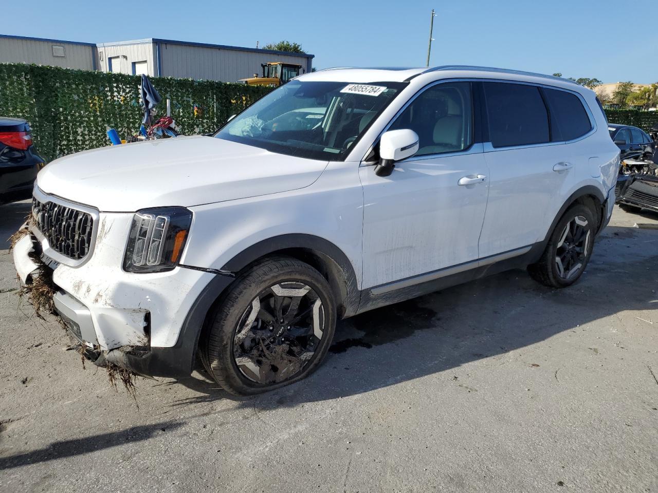 KIA TELLURIDE 2024 5xyp34gc0rg416263