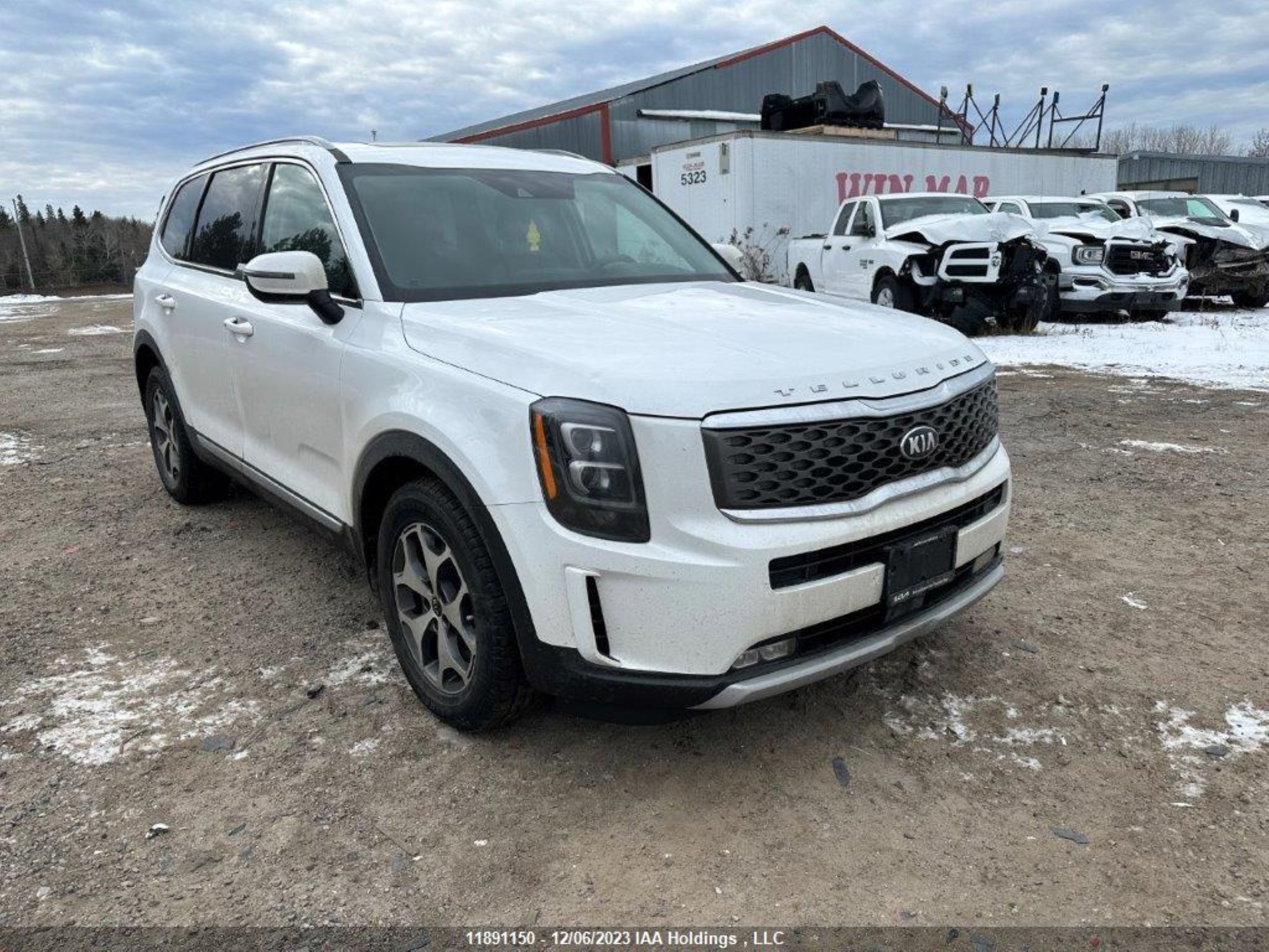 KIA TELLURIDE 2020 5xyp3dhc9lg014392