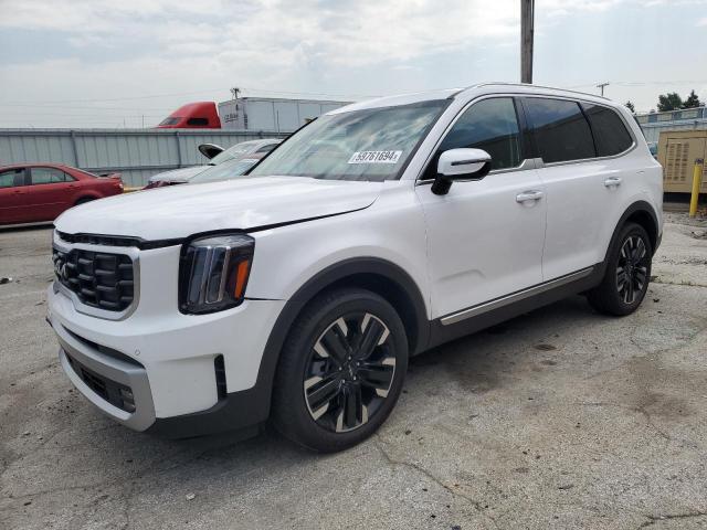 KIA TELLURIDE 2024 5xyp5dgc0rg412630