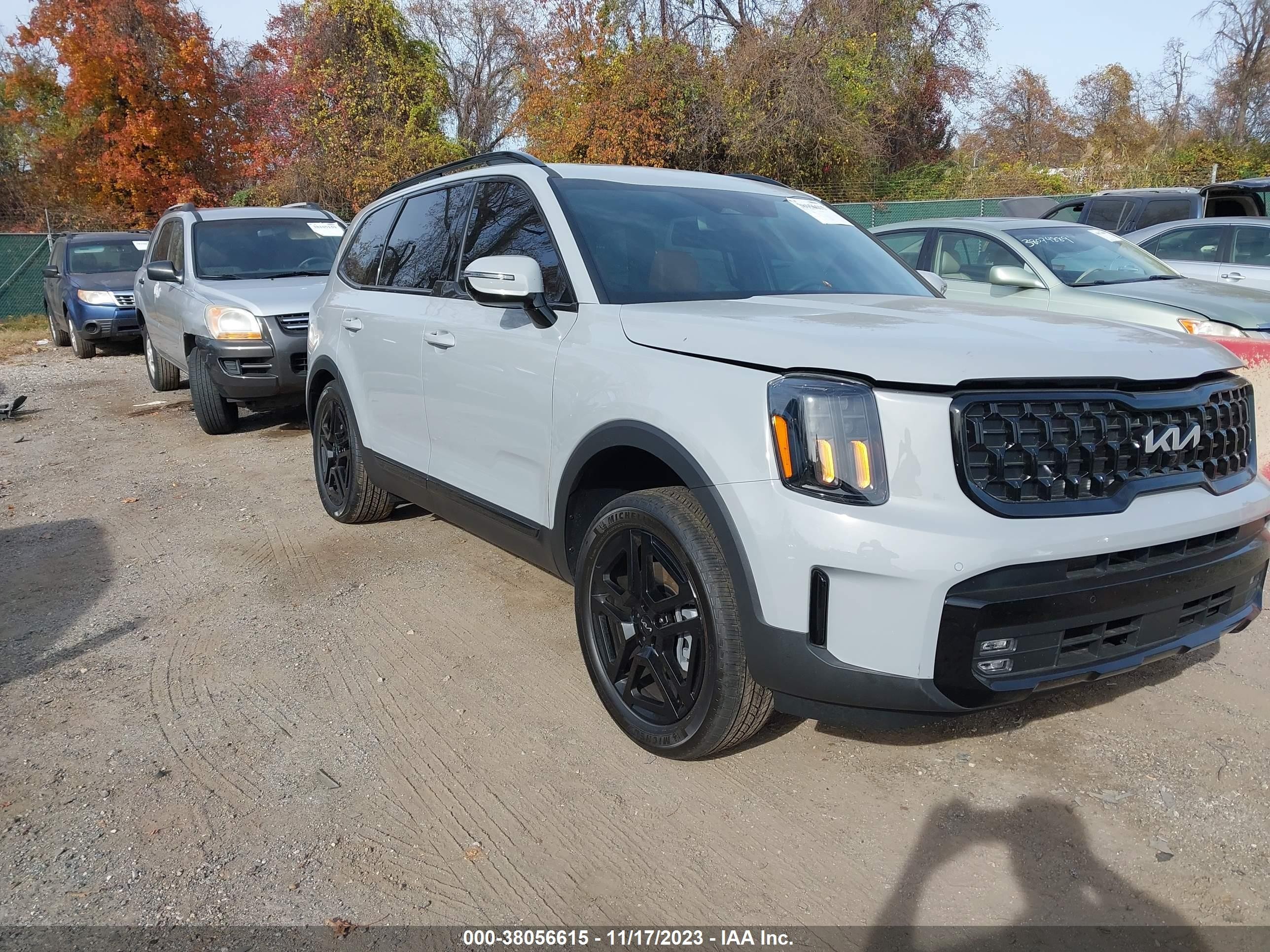 KIA TELLURIDE 2024 5xyp5dgc1rg448911