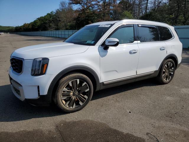 KIA TELLURIDE 2024 5xyp5dgc1rg473808