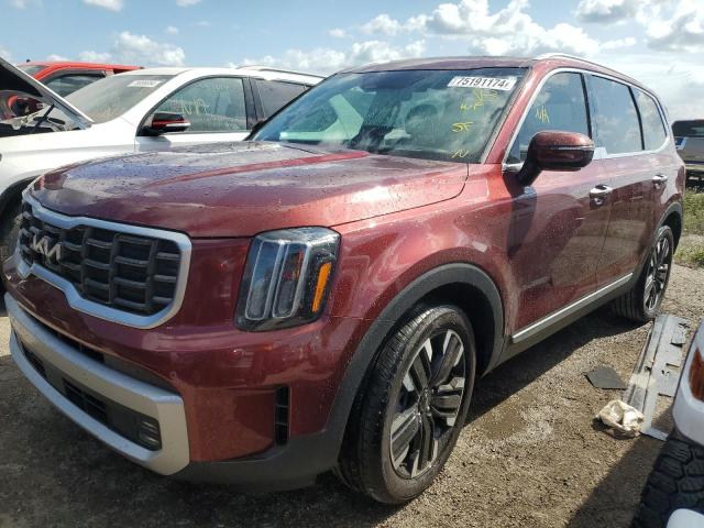 KIA TELLURIDE 2023 5xyp5dgc2pg334817