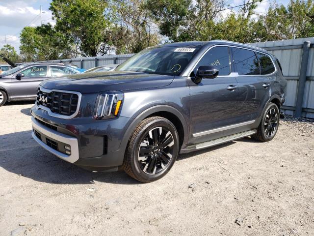 KIA TELLURIDE 2024 5xyp5dgc5rg454274