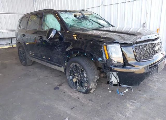 KIA TELLURIDE 2022 5xyp5dhc4ng275961