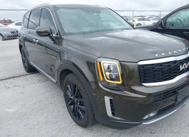 KIA TELLURIDE 2022 5xyp5dhc6ng247398